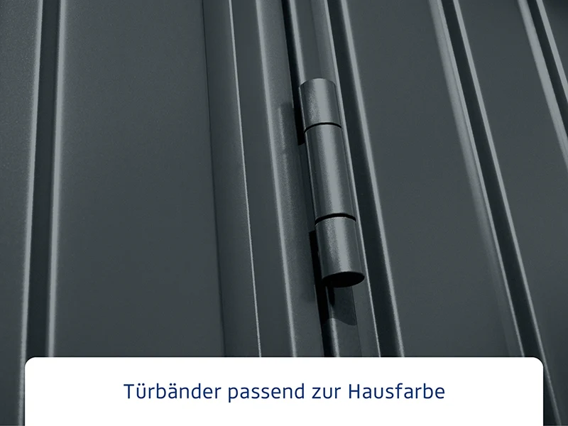 Ecostar Gerätehaus Trend-P,Typ 1, Anthrazitgrau, 1 flg - Image 5