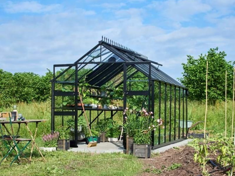 Halls Gewächshaus Cotswold Blockley 814 schwarz mit Sicherheitsglas - Image 5