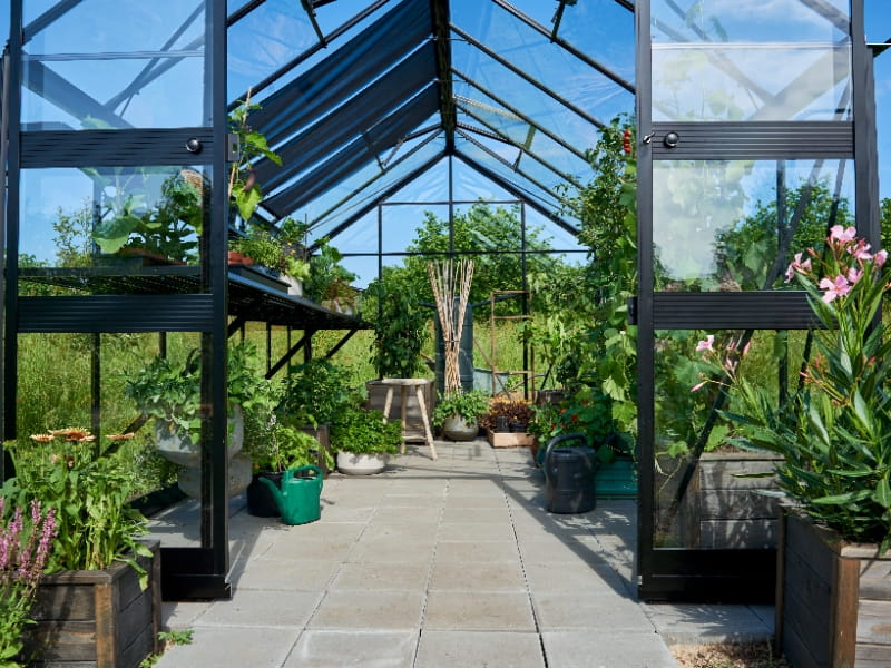 Halls Gewächshaus Cotswold Blockley 814 schwarz mit Sicherheitsglas - Image 7