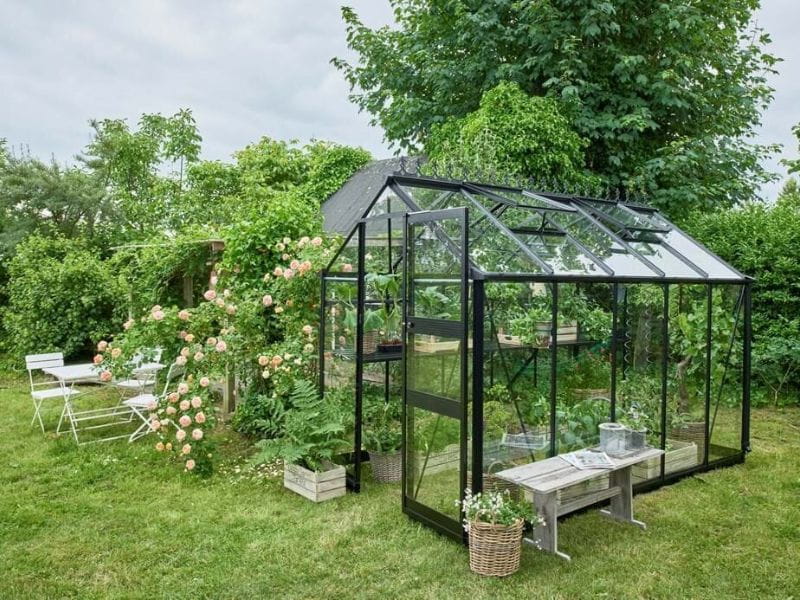 Halls Gewächshaus Cotswold Burford 610 schwarz mit Sicherheitsglas - Image 5