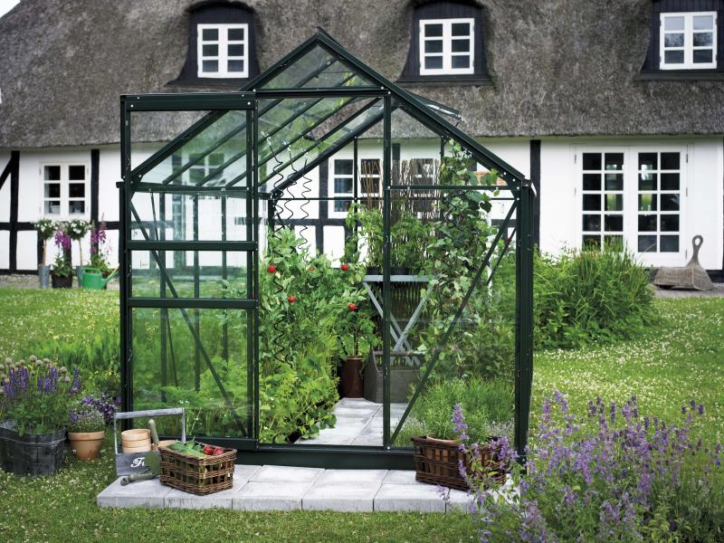 Halls Gewächshaus Popular 106 Grün Blankglas
