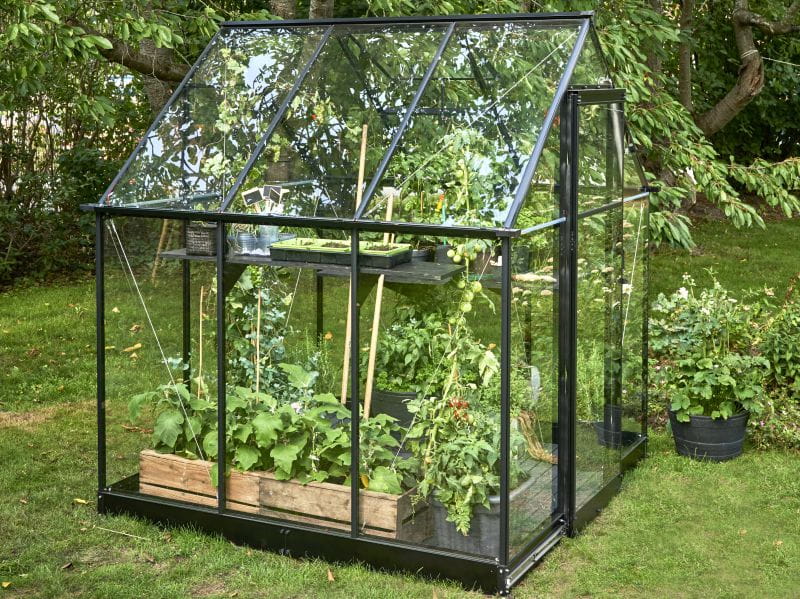Halls Gewächshaus Qube 66 Schwarz Sicherheitsglas - Image 4