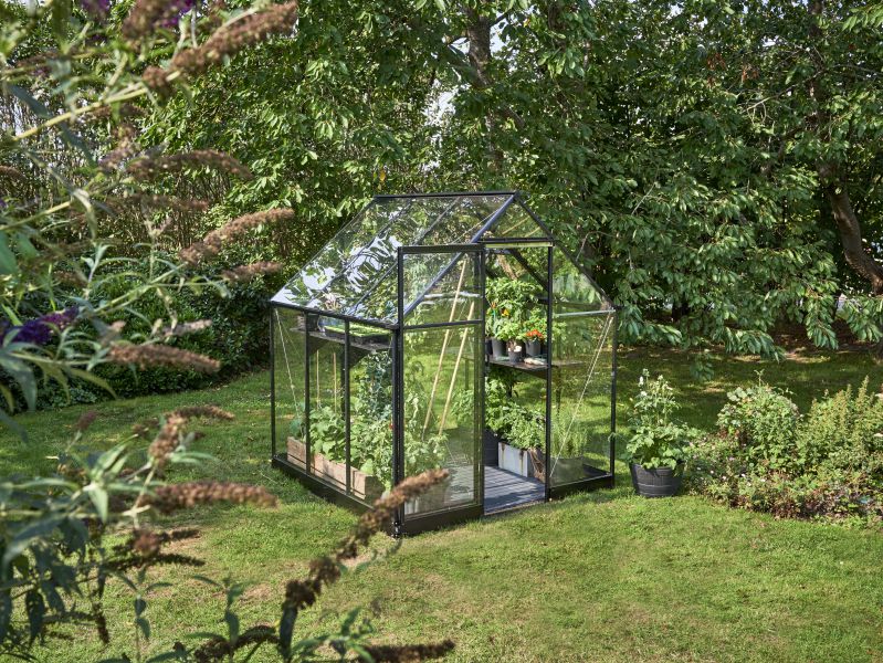 Halls Gewächshaus Qube 66 Schwarz Sicherheitsglas - Image 5