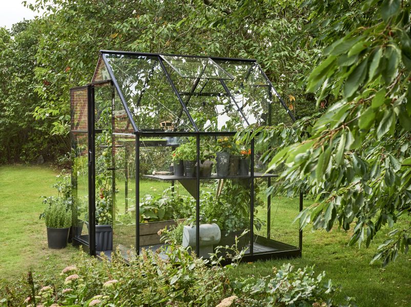 Halls Gewächshaus Qube 66 Schwarz Sicherheitsglas - Image 6