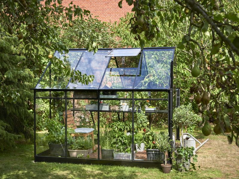 Halls Gewächshaus Qube 68 Schwarz Sicherheitsglas - Image 3
