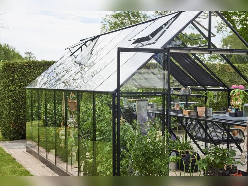 Halls Gewächshaus Qube+ 816 Schwarz Sicherheitsglas - Image 4