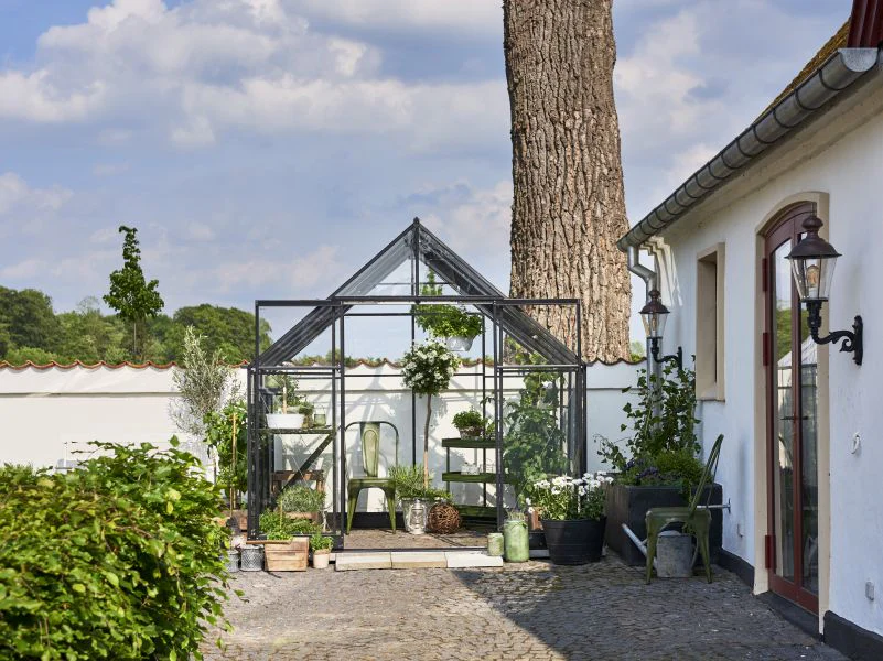 Halls Gewächshaus Qube+ 88 Schwarz Sicherheitsglas - Image 4