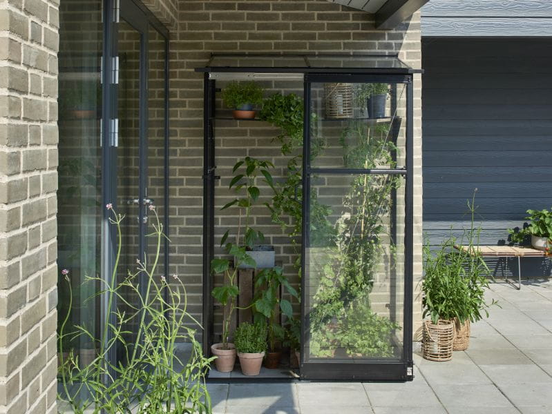 Halls Gewächshaus Qube Lean-to 24 Schwarz Sicherheitsglas - Image 2
