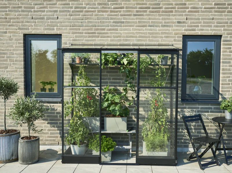 Halls Gewächshaus Qube Lean-to 26 Schwarz Sicherheitsglas - Image 3