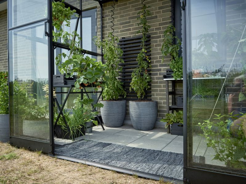 Halls Gewächshaus Qube Lean-to 68 Schwarz Sicherheitsglas - Image 5