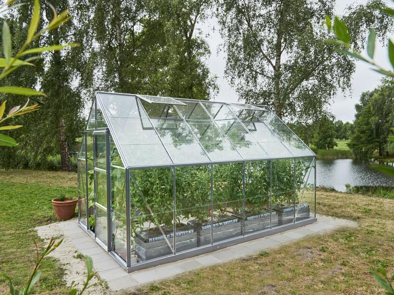 Halls Gewächshaus Universal 128 Alu Blankglas - Image 5