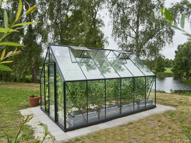 Halls Gewächshaus Universal 128 Schwarz Blankglas - Image 2