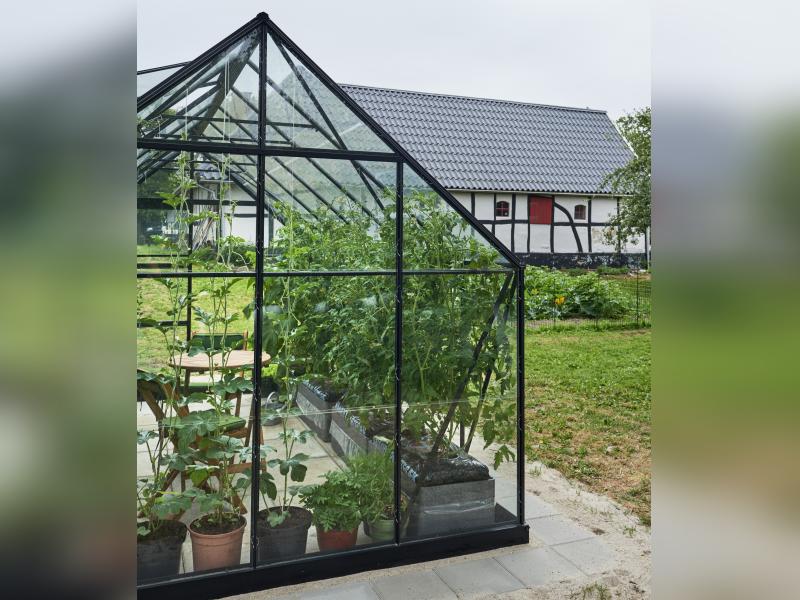 Halls Gewächshaus Universal 128 Schwarz Blankglas - Image 3