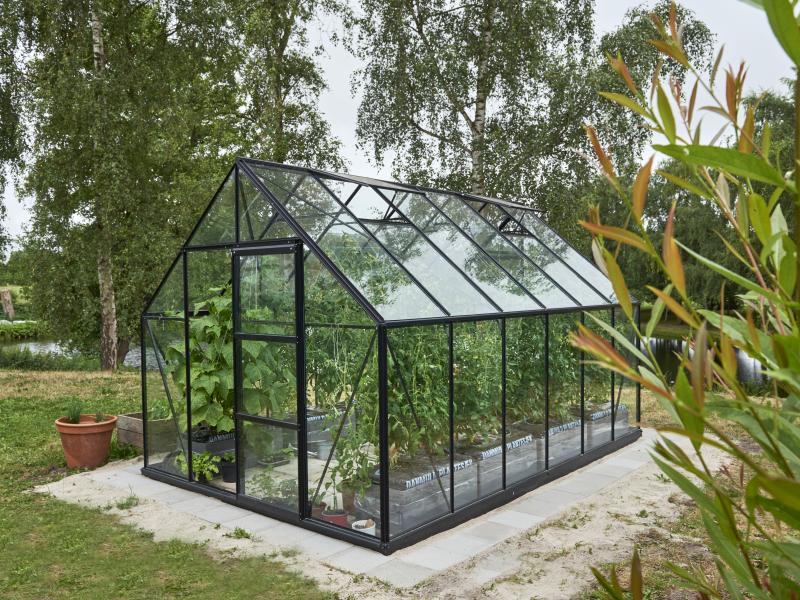 Halls Gewächshaus Universal 128 Schwarz Sicherheitsglas 9,9m² - SPARSET inkl. Fundament Schwarz