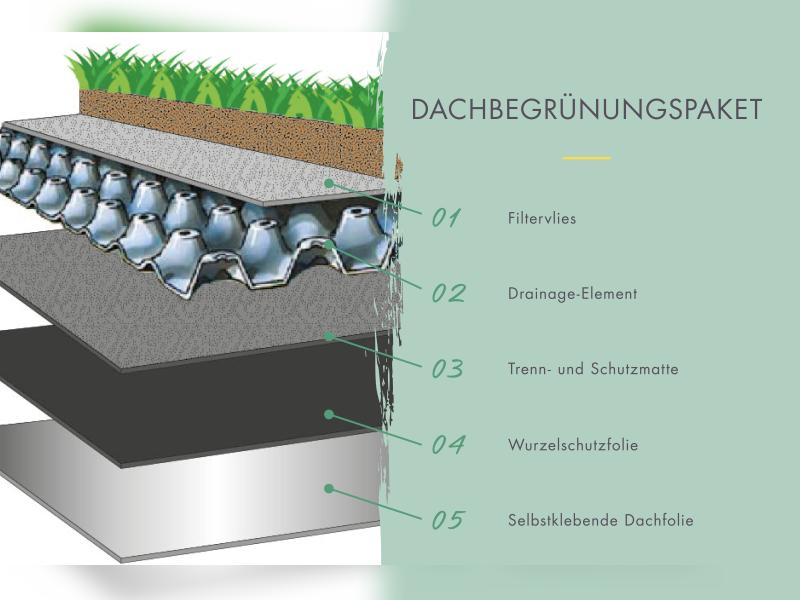 Karibu Gartenhaus Lily, natur, inkl. selbstkl. Dachbahn, Vlies, Wurzelschutzfolie (für Dachbegrünung) - Image 4