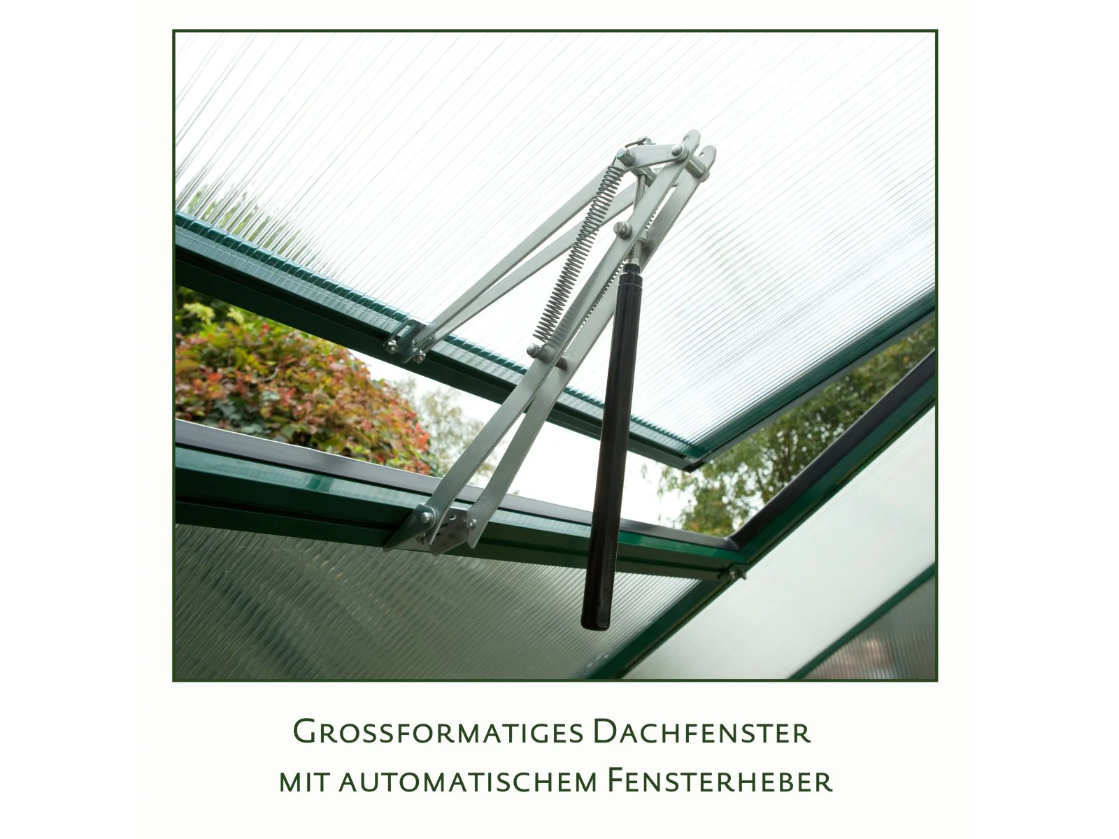 KGT Gewächshaus Callas III, HKP 6 mm, pressblank - Image 4