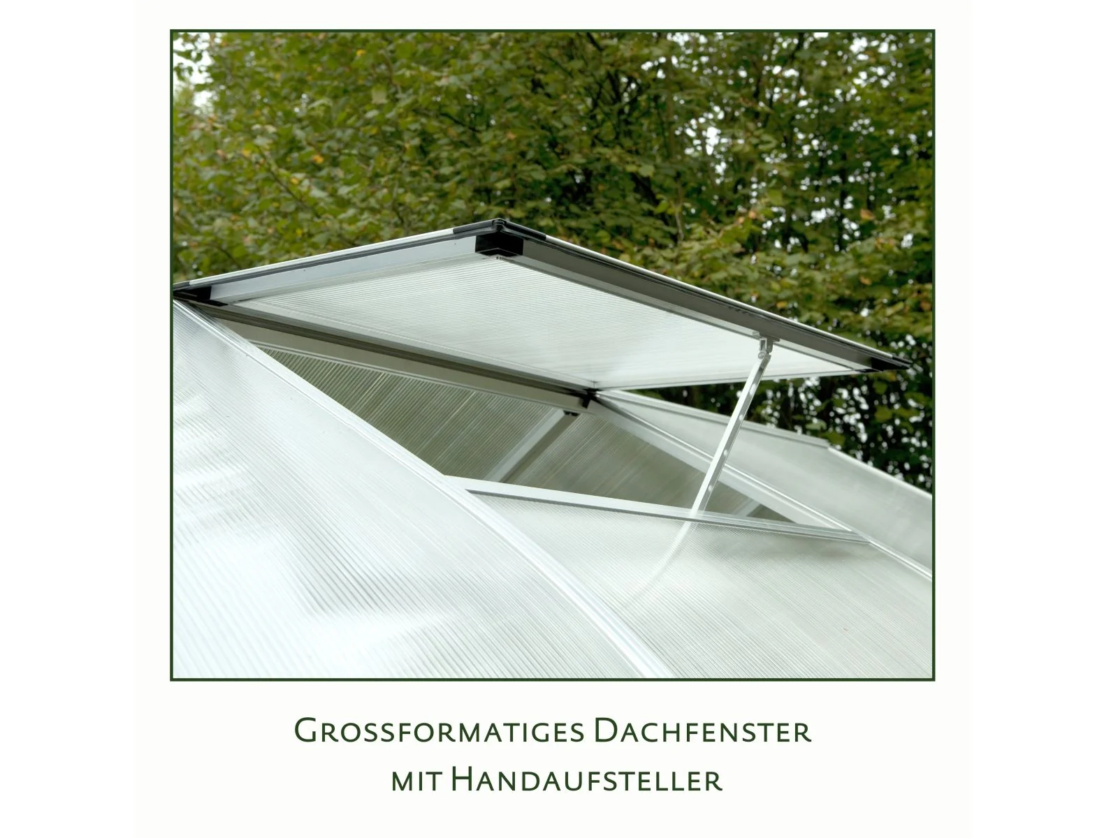 KGT Gewächshaus Enzian IV, pressblank, HKP 6 mm - Image 4