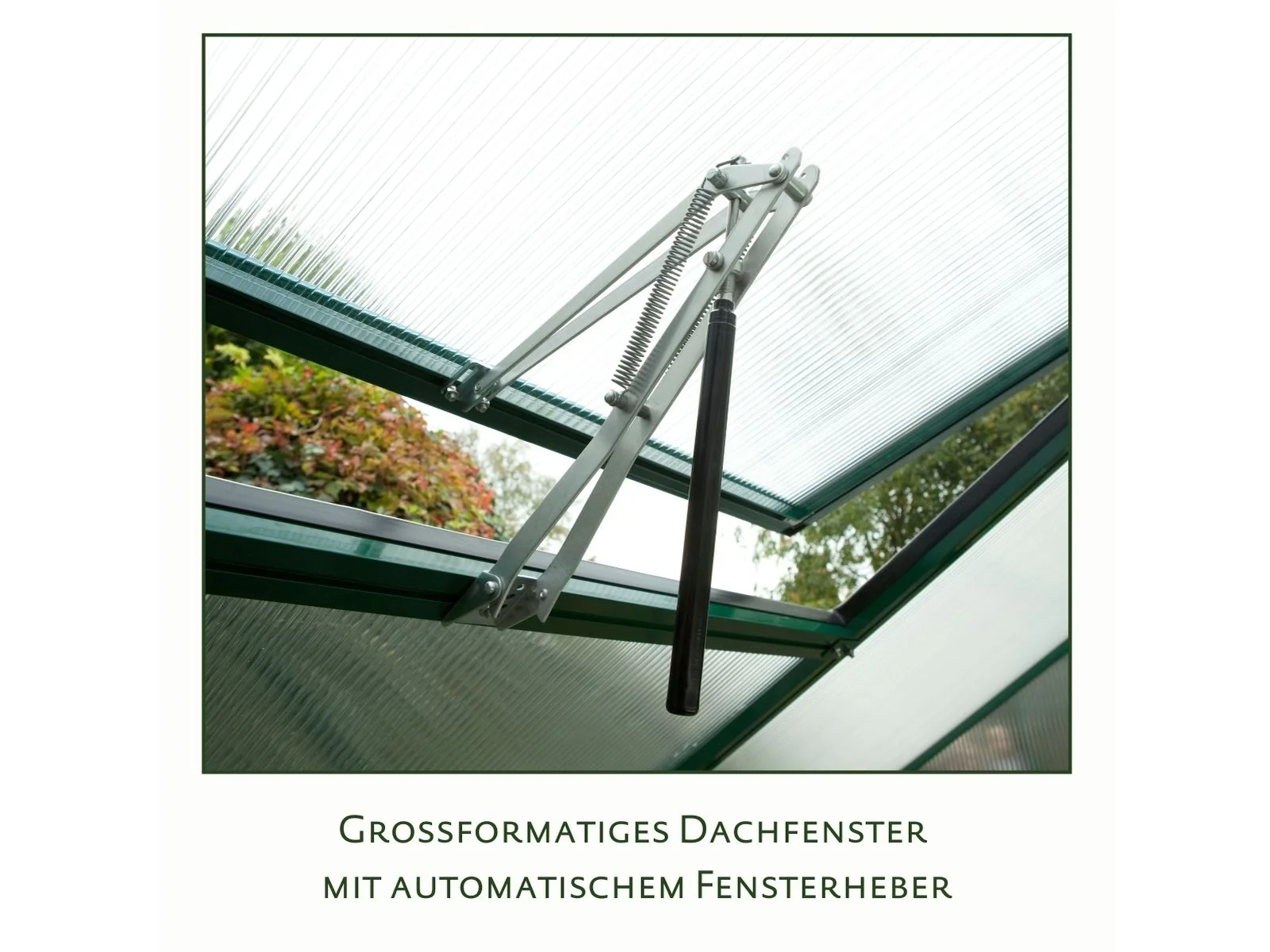 KGT Gewächshaus Iris IV, HKP 16 mm, tannengrün - Image 5