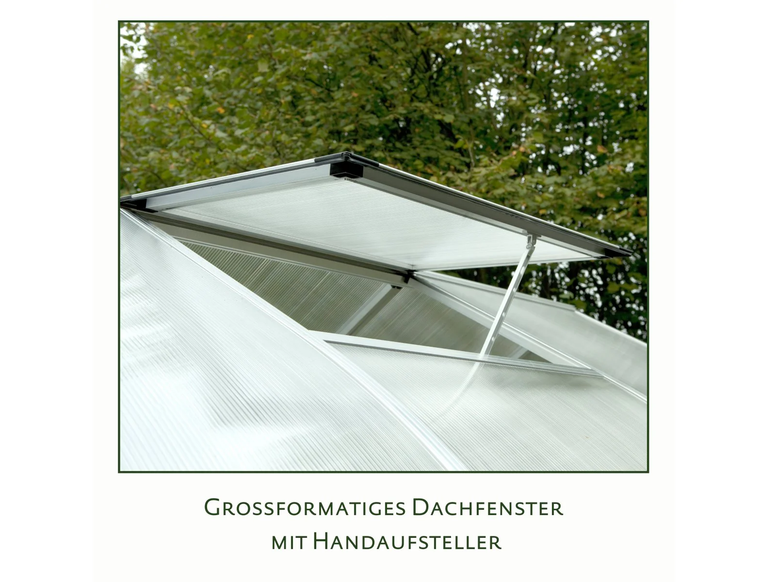 KGT Gewächshaus Rhodo IV, HKP 6 mm, pressblank - Image 4