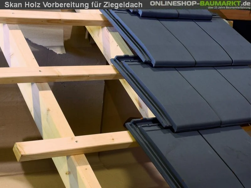 Skan Holz Blockbohlenhaus Bern 1 45plus, 420 x 420 cm - Image 5