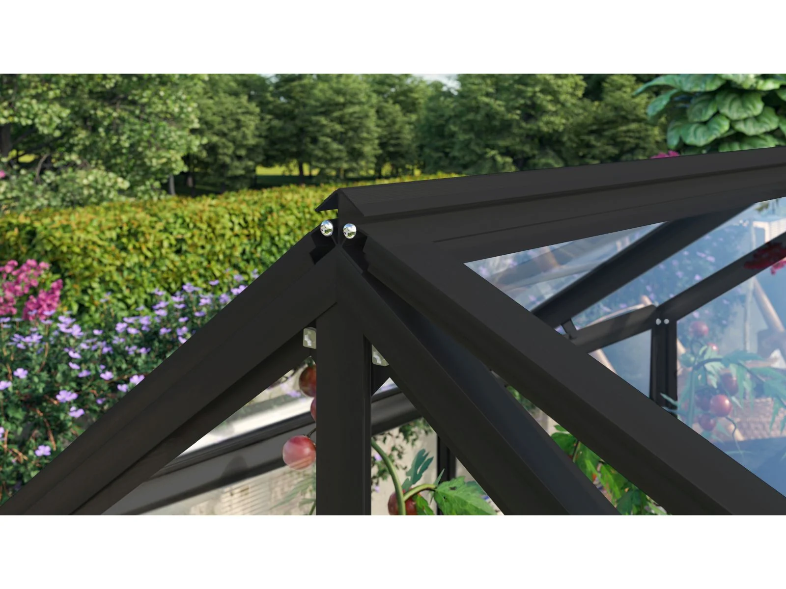 Vitavia Gamma ESG 3mm, schwarz - Image 5