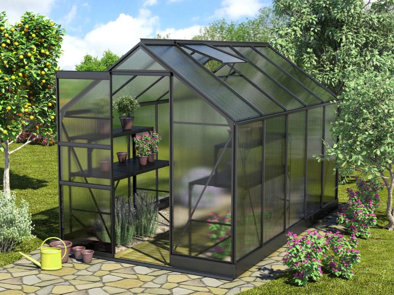 Vitavia Gewächshaus Apollo 6200 HKP 6 mm Schwarz