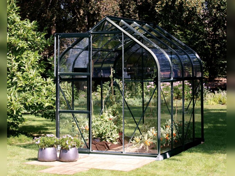 Vitavia Gewächshaus Orion 5000, 3mm ESG, Schwarz - Image 2