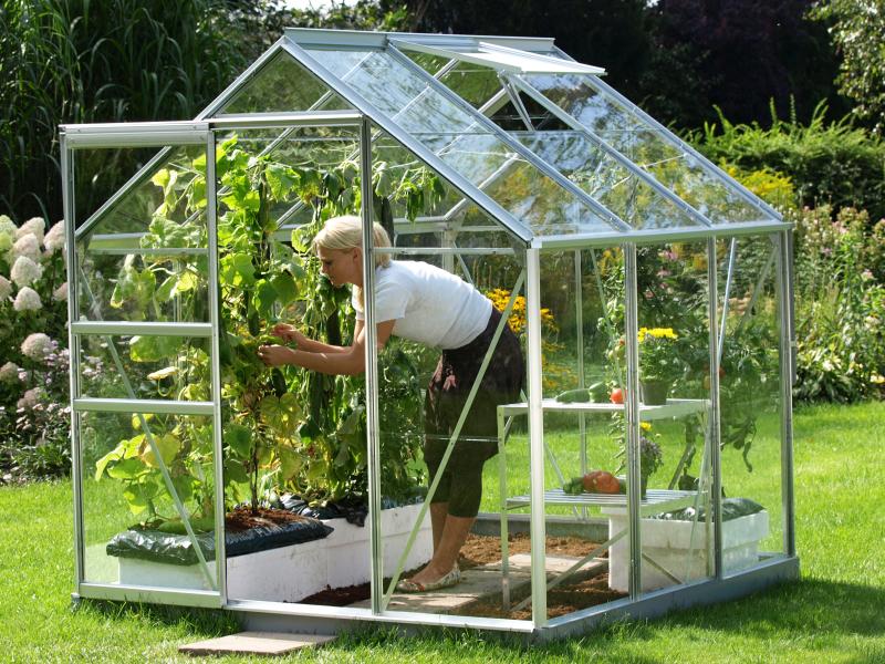 Vitavia Gewächshaus Venus 3800 ESG 3 mm Alu - Image 2