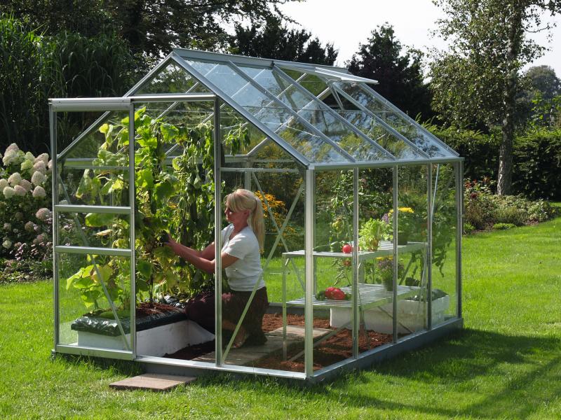 Vitavia Gewächshaus Venus 5000 ESG 3 mm Alu - Image 2