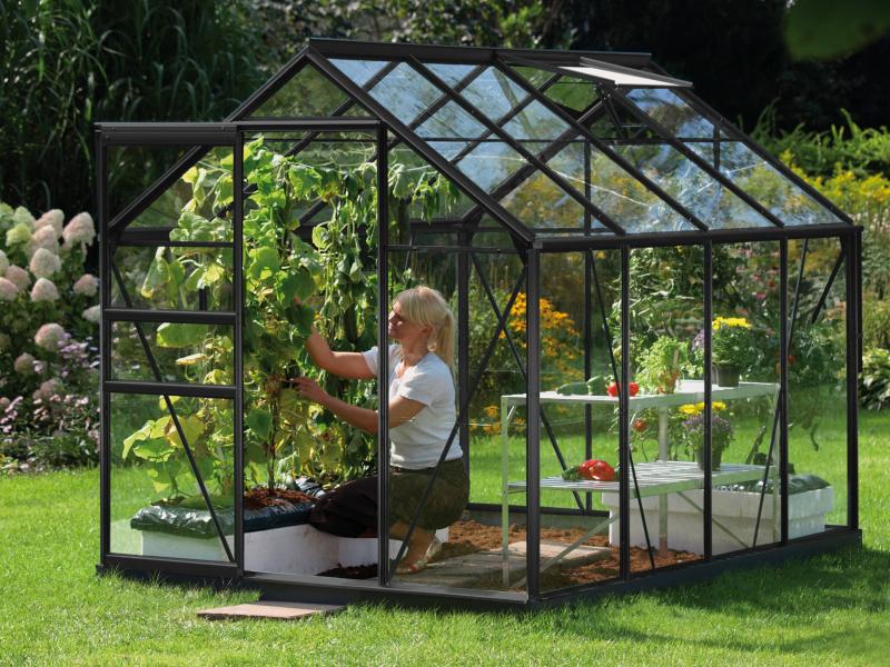 Vitavia Gewächshaus Venus 5000 ESG 3 mm Schwarz - Image 2
