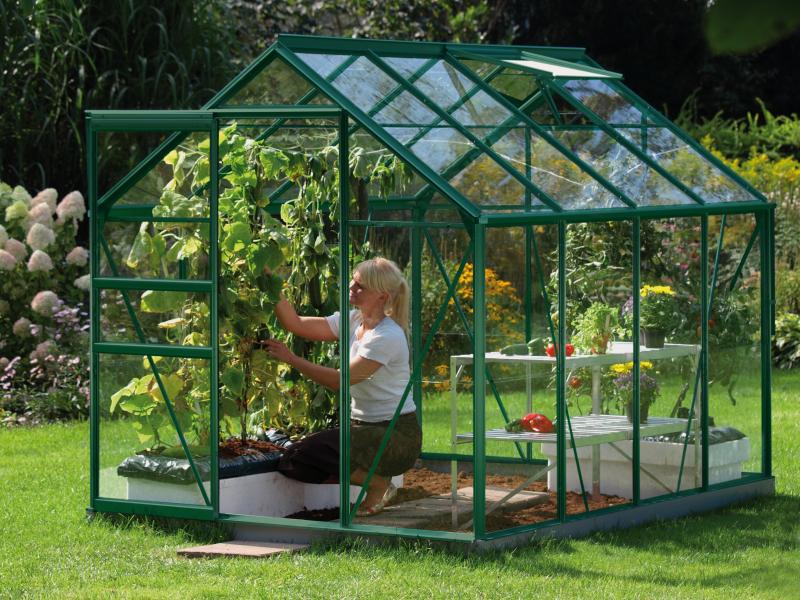 Vitavia Gewächshaus Venus 5000 ESG 3 mm Smaragd - Image 2