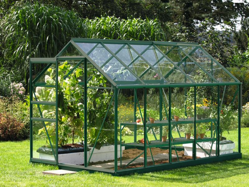 Vitavia Gewächshaus Venus 6200 ESG 3 mm Smaragd - Image 2