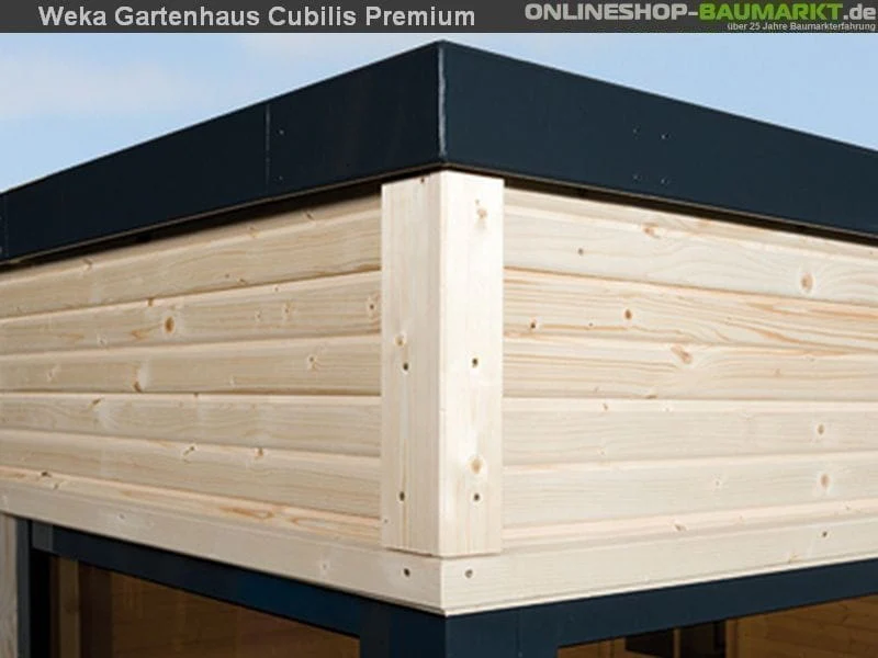 Weka Gartenhaus wekaLine 412 Größe 2 45 mm Premium - Image 3